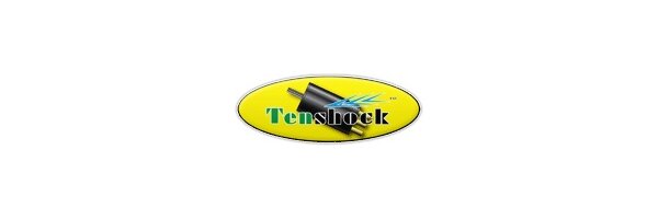 Tenshock motors